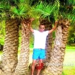 Андрей, 42 года