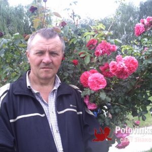 Вова , 63 года