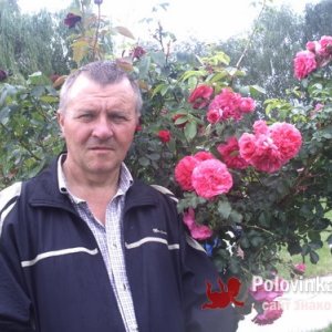 Вова , 62 года