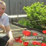 Владимир, 44 года