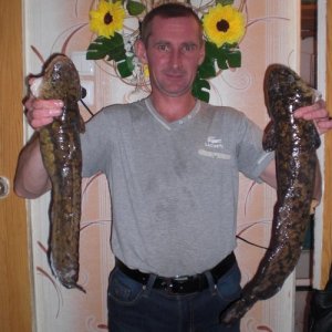 Александр марохов, 42 года