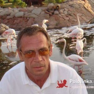 Андрей , 60 лет