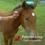 Сергей, 42 года