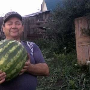 Сергей , 65 лет