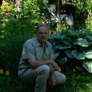 Владимир , 73 года