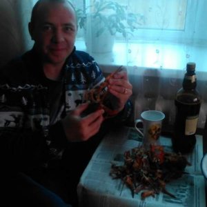 Серый известная, 40 лет