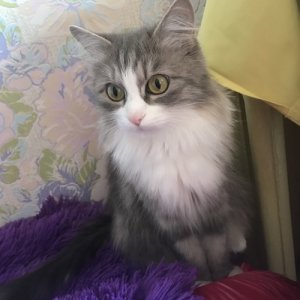 Марина , 30 лет