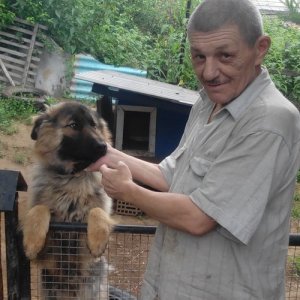 Анлрей , 62 года