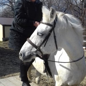 Татьяна , 65 лет