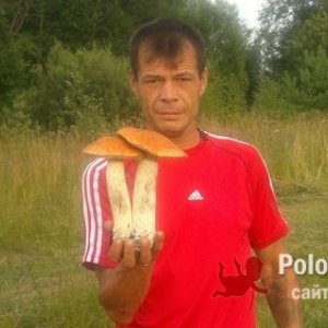 Андрей , 50 лет