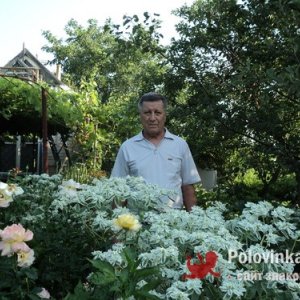 Александр , 64 года