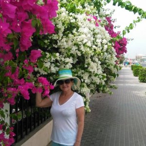 Алена , 66 лет