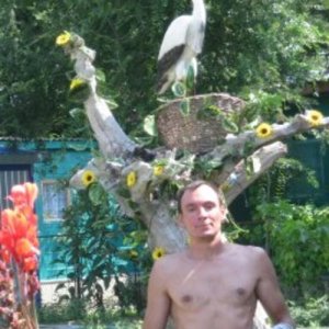 Владимир , 46 лет