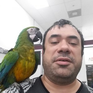 Александр , 52 года