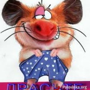 Вова , 36 лет