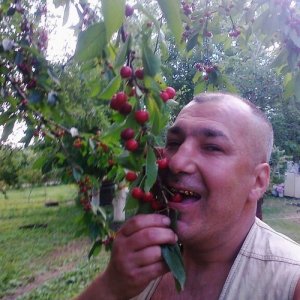 Анатолий , 55 лет