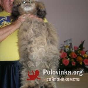 Александр , 80 лет