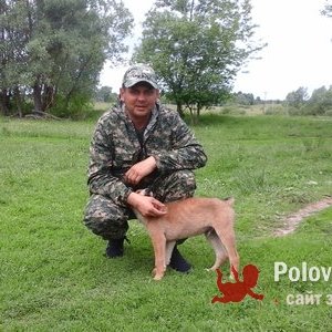 Владимир , 41 год