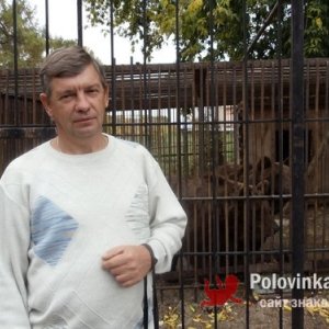 Андрей , 66 лет