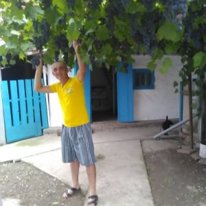 Николай , 46 лет