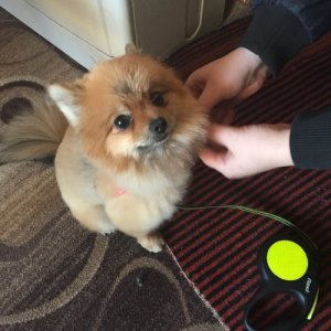 Наталья , 61 год