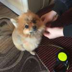 Наталья, 61 год