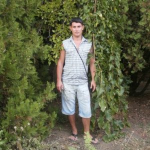 Вова Лашин, 40 лет
