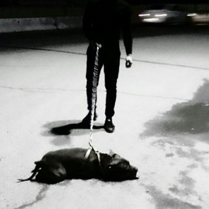 Макс , 28 лет