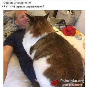 Алекс , 24 года
