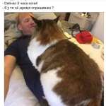 Алекс, 24 года