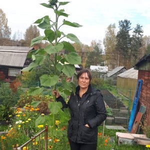 Диана , 54 года