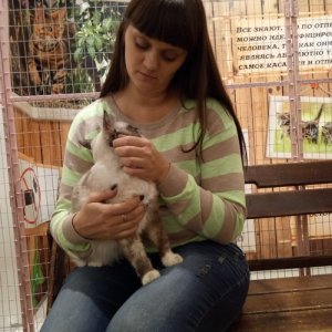 Марина , 43 года