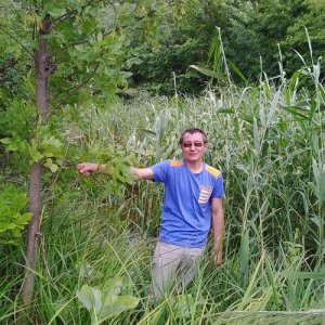 Денис Толстокоров, 43 года