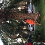 Ирина, 39 лет
