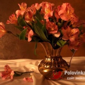 Нина , 68 лет