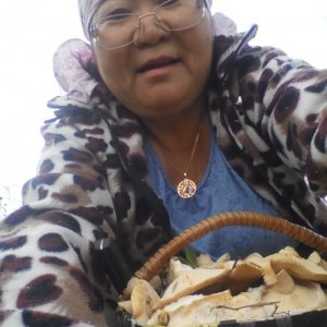 Ирина Бабушкина, 66 лет