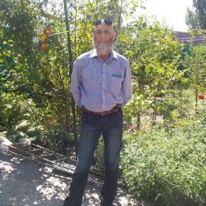 Александр , 66 лет
