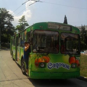 александра , 33 года