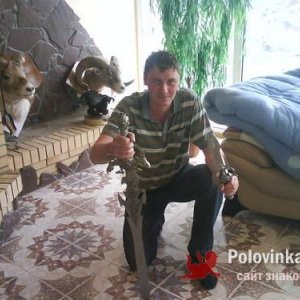 Dima , 40 лет