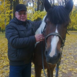 Антонов владимир петрович , 62 года