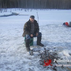 Владимир тромушкин, 71 год