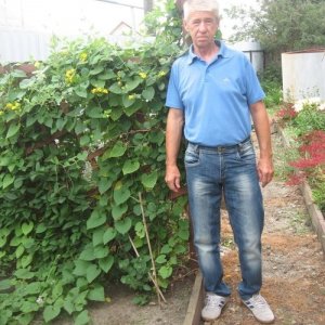 Евгений , 65 лет