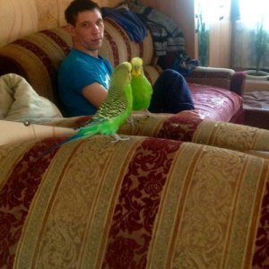 Алексей кудряшов, 34 года