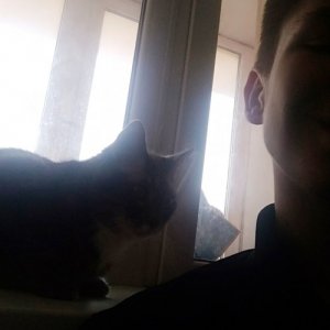 Дмитрий , 23 года