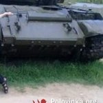 Антон, 91 год