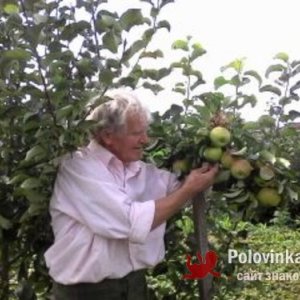 Николай , 71 год