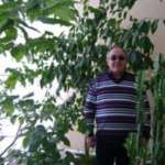 Анатолий, 70 лет