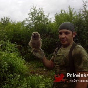Николай , 36 лет