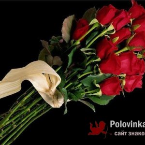 Melaniegonzales , 33 года