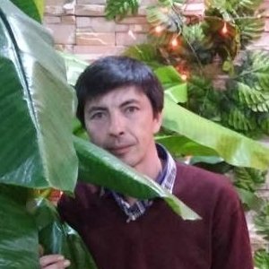 Вадим , 45 лет